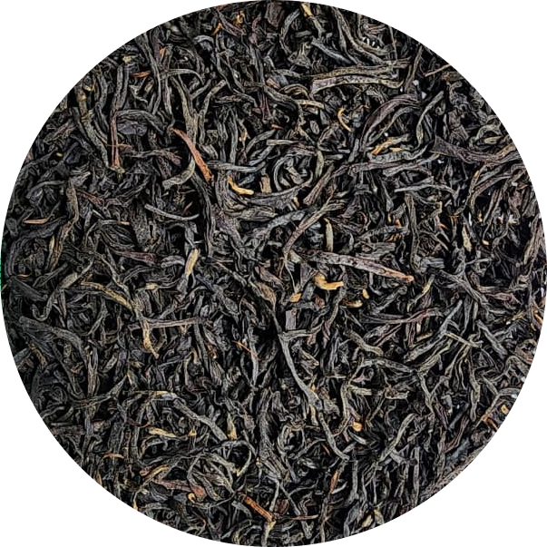 OP1 — Orange Pekoe 1